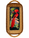 Mexican Feather Painting